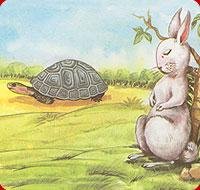 hare_tortoise - management lesson